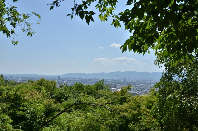 山腰俯瞰京都全景